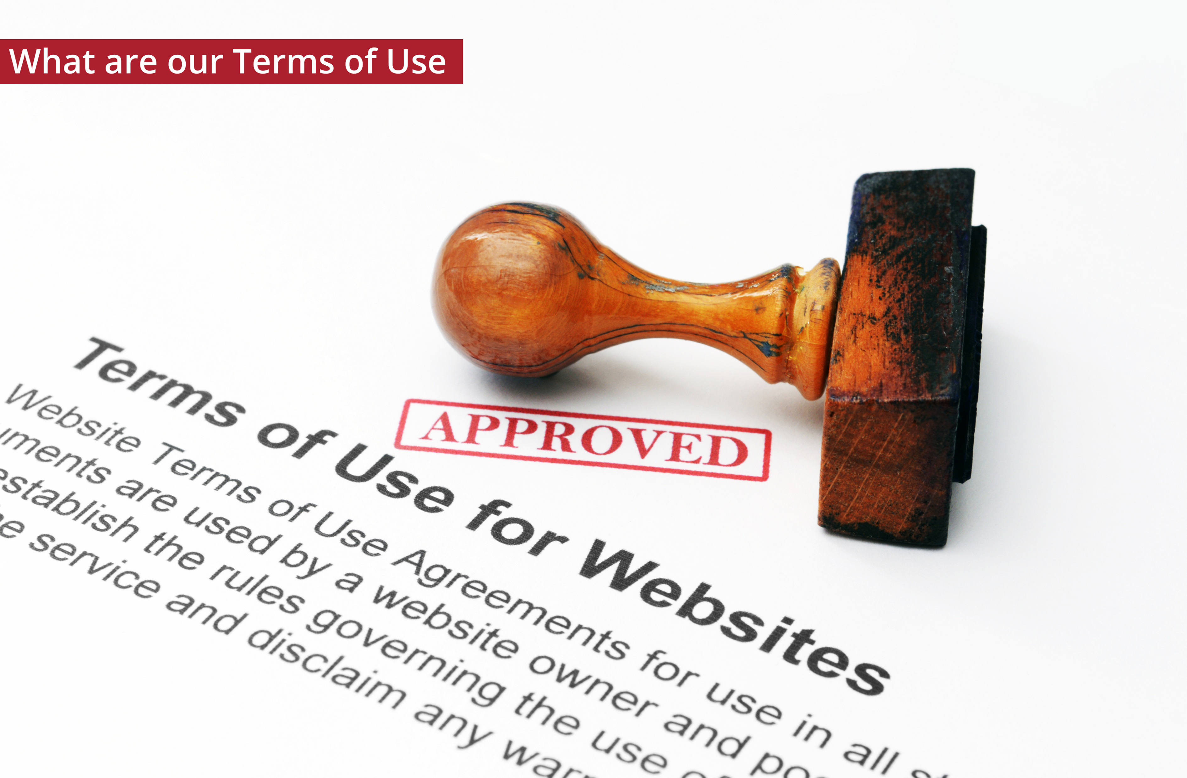 Talent Pilot Software-Terms of Use
